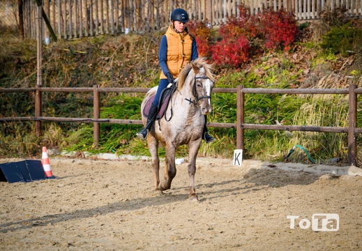 DSC3126 (19 visits) DSC3126
