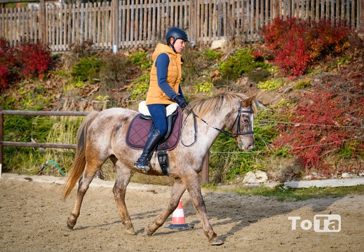 DSC3129 (20 visits) DSC3129
