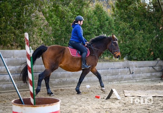 DSC3130 (19 visits) DSC3130