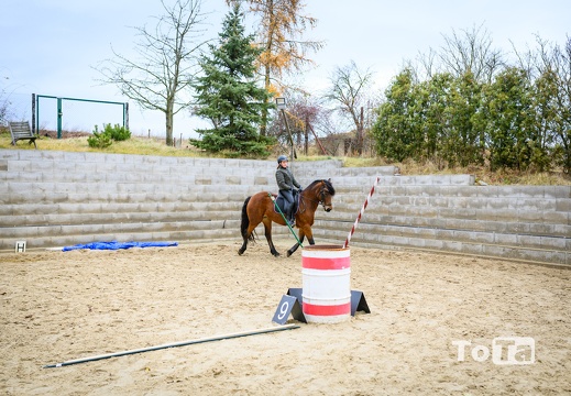 DSC3382 (10 visits) DSC3382