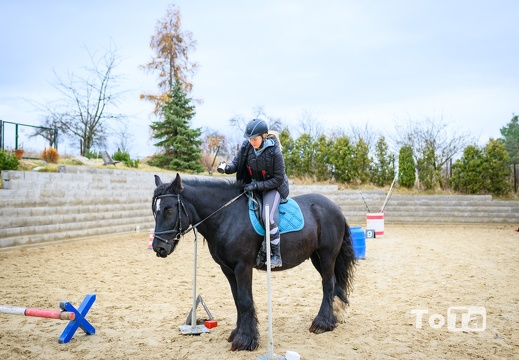 DSC3433 (10 visits) DSC3433