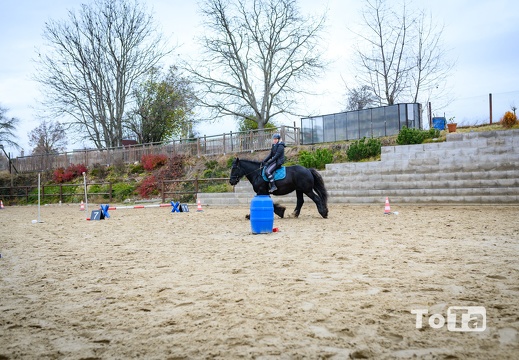 DSC3453 (10 visits) DSC3453