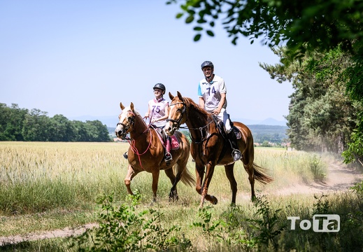 DSC10049 (20 visits) DSC10049
