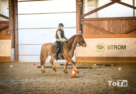 DSC3783 (39 visits) DSC3783