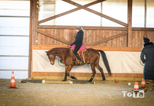 DSC4013 (20 visits) DSC4013