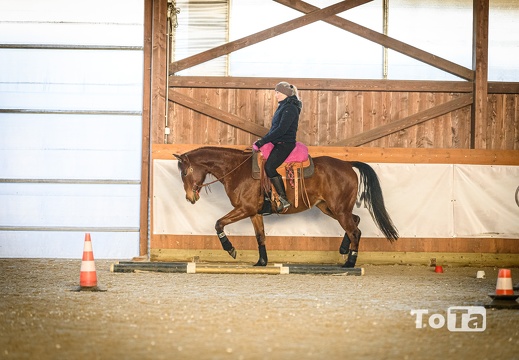 DSC4014 (19 visits) DSC4014
