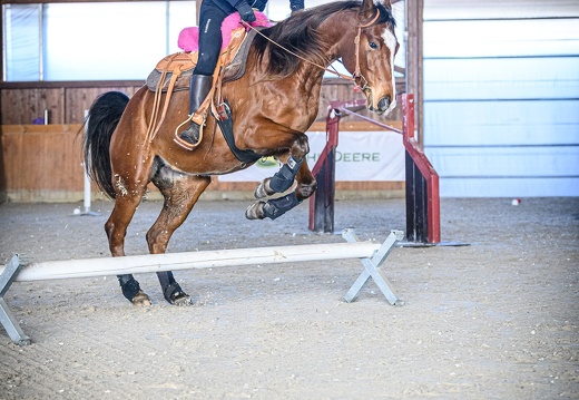 DSC4017 (19 visits) DSC4017