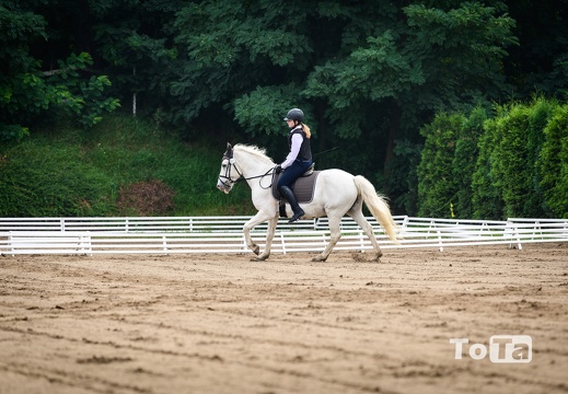 DSC3039 (30 visits) DSC3039