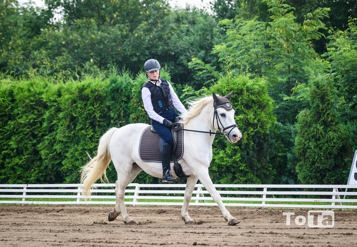 DSC3054 (29 visits) DSC3054