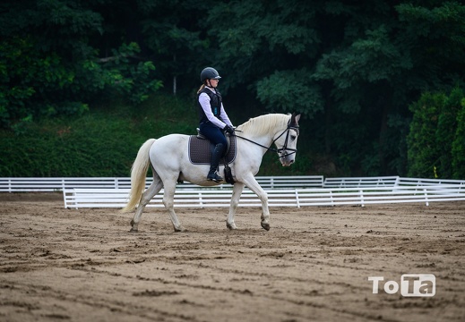 DSC3067 (30 visits) DSC3067