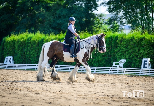 DSC3170 (32 visits) DSC3170