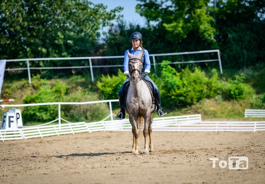 DSC3196 (30 visits) DSC3196
