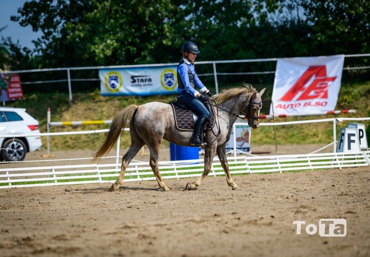 DSC3206 (28 visits) DSC3206