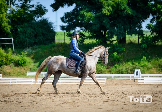 DSC3223 (28 visits) DSC3223