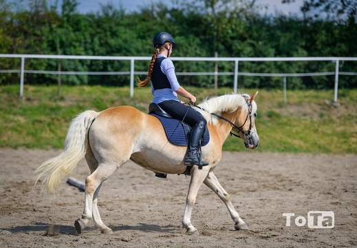 DSC3467 (18 visits) DSC3467