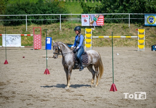 DSC3515 (12 visits) DSC3515