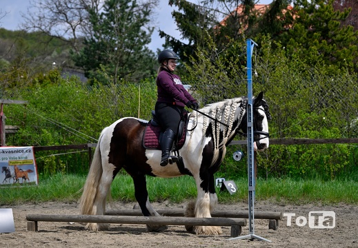 DSC5246 (38 visits) DSC5246