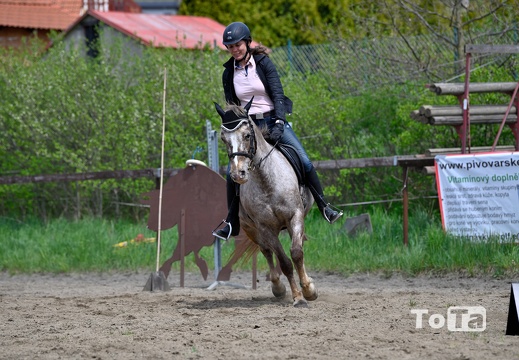 DSC5286 (35 visits) DSC5286