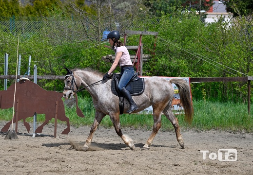 DSC5409 (21 visits) DSC5409