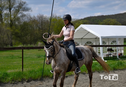 DSC5427 (20 visits) DSC5427