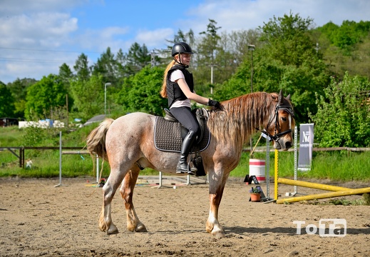 DSC8796 (15 visits) DSC8796