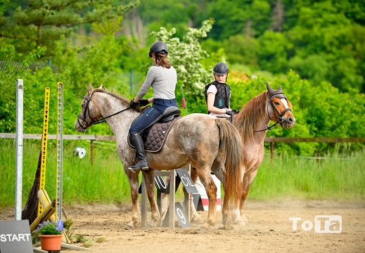 DSC8919 (16 visits) DSC8919