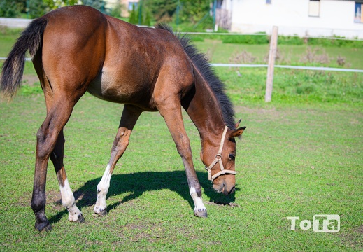 DSC9125 (11 visits) DSC9125