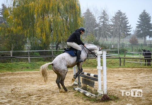 DSC1526 (2 visits) DSC1526