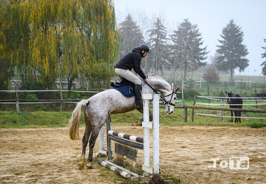 DSC1527 (2 visits) DSC1527