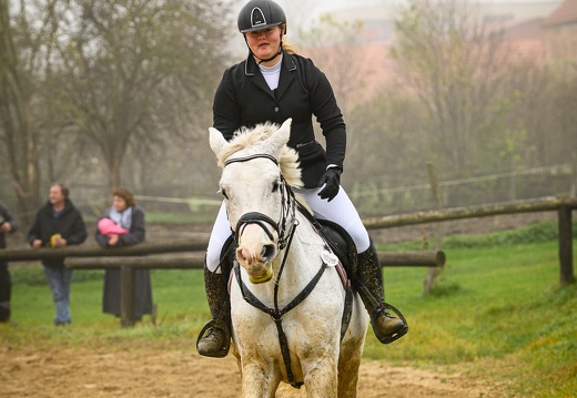 DSC1590 (4 visits) DSC1590