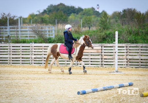 DSC8341 (14 visits) DSC8341