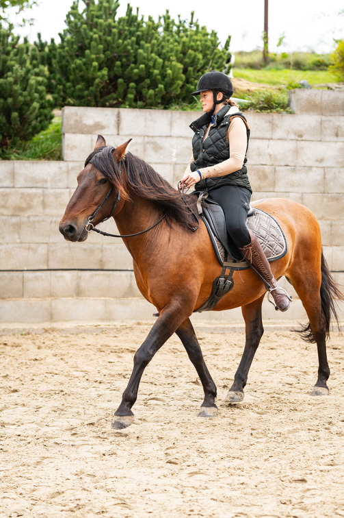  DSC6719