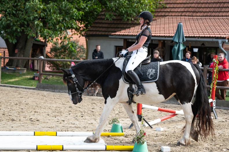 DSC8270