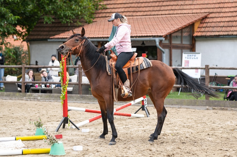  DSC8097