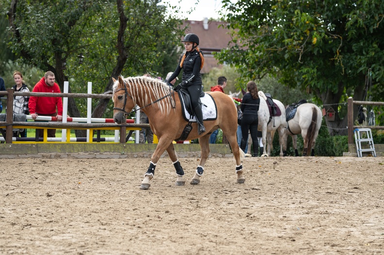  DSC8010