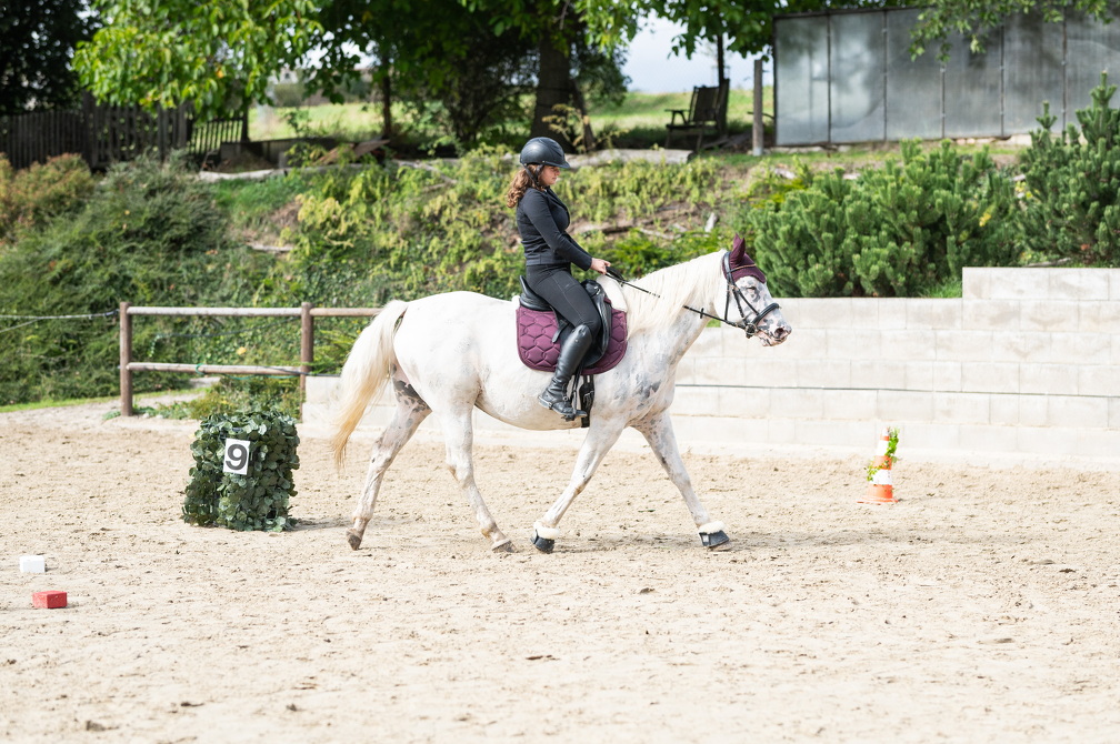  DSC7878