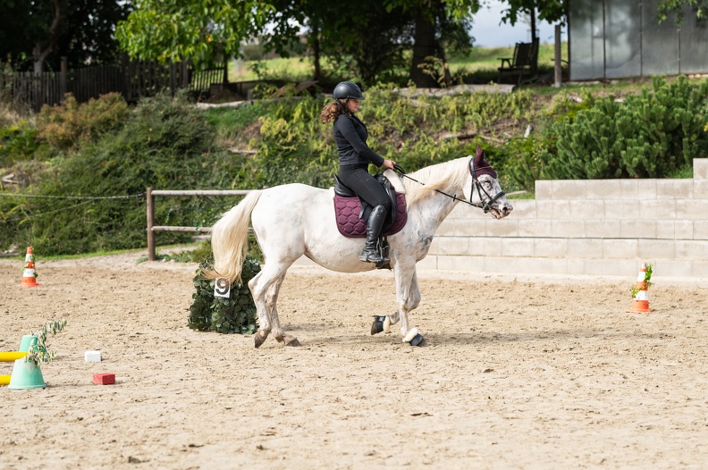  DSC7877