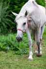  DSC3698
