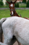  DSC3764
