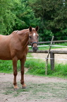  DSC3817