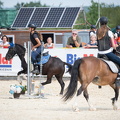  DSC5109