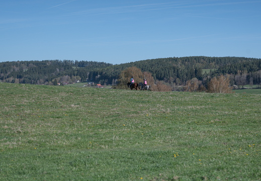  DSC6021