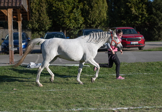  DSC5904